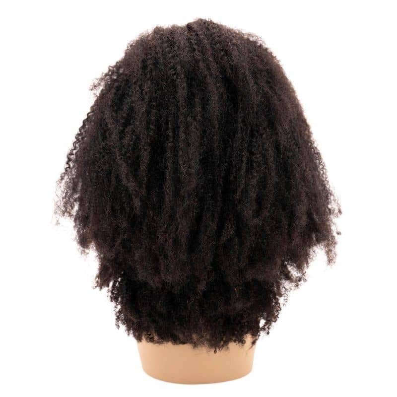 Black Girl. Collections Afro Kinky 4x4 Transparent Closure Wig